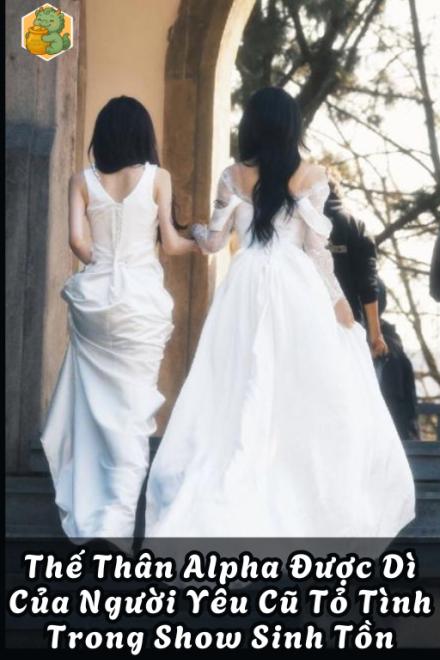 Thế Thân Alpha Được Dì Của Người Yêu Cũ Tỏ Tình Trong Show Sinh Tồn