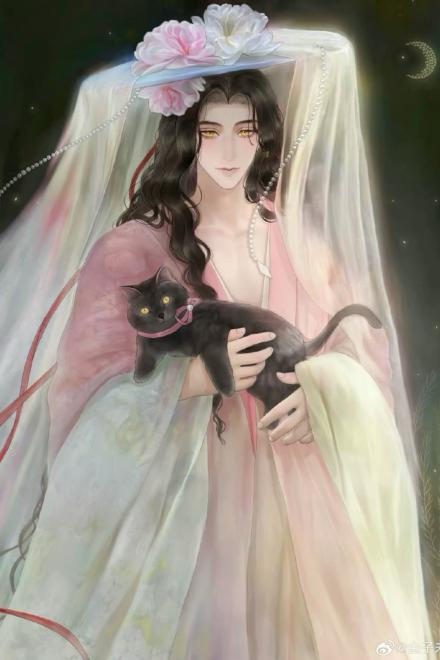 Sau Khi Mèo Con Xinh Đẹp Nhận Nhiệm Vụ Yêu Phi