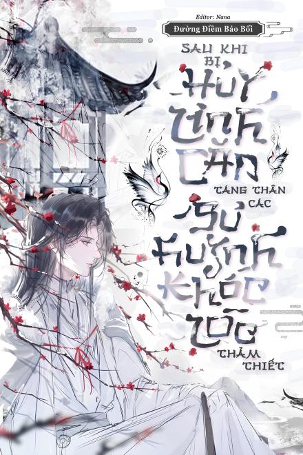 Sau Khi Bị Hủy Linh Căn Táng Thân, Các Sư Huynh Khóc Lóc Thảm Thiết