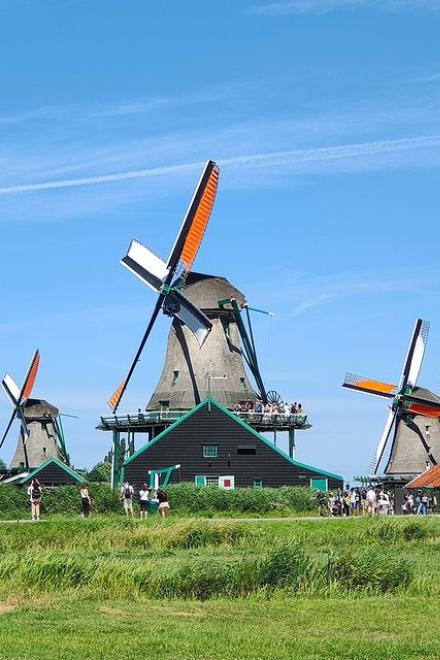 Cối Xay Gió Màu Xanh