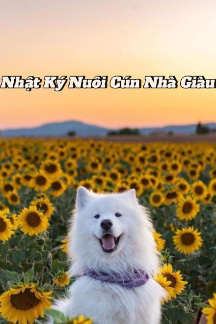 Nhật Ký Nuôi Cún Nhà Giàu