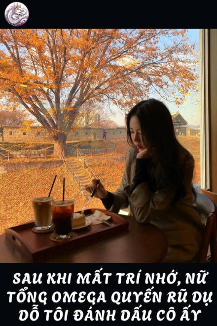 Sau Khi Mất Trí Nhớ, Nữ Tổng Omega Quyến Rũ Dụ Dỗ Tôi Đánh Dấu Cô Ấy