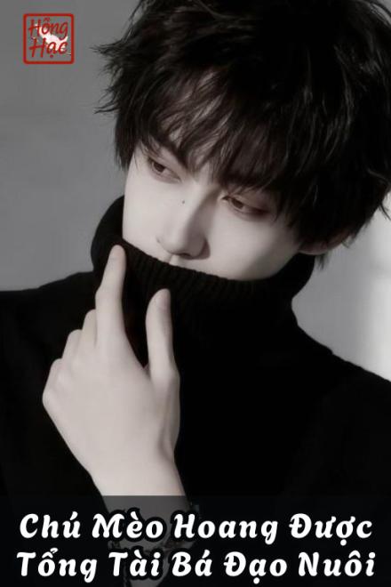 Chú Mèo Hoang Được Tổng Tài Bá Đạo Nuôi