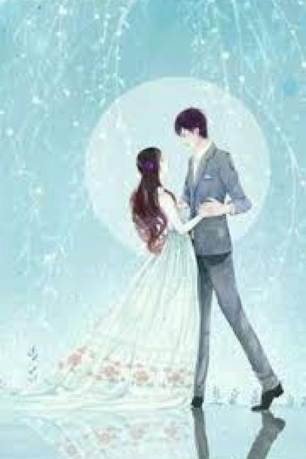 Thân Phận Của Quân Phu Nhân Nhiều Vô Số